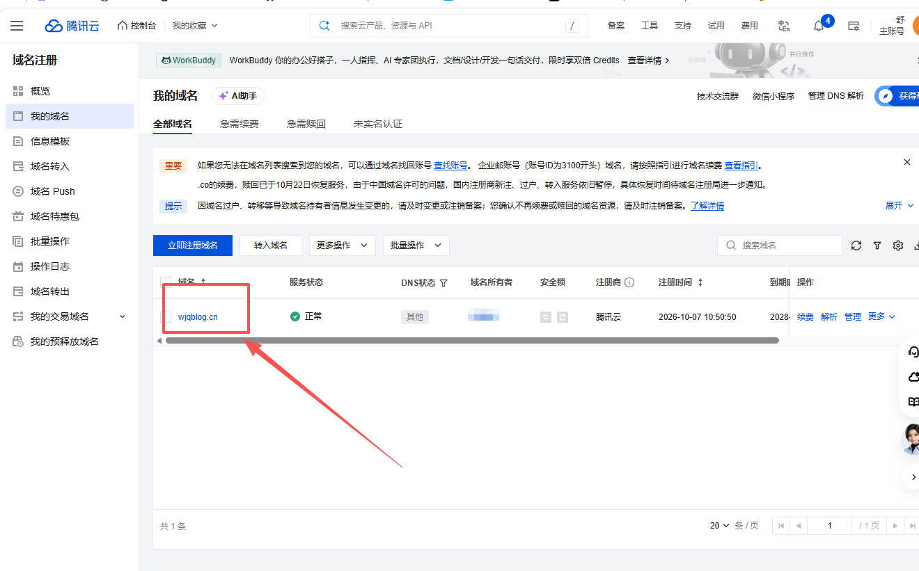 购买完成后的域名列表
